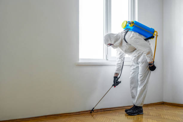 Best Exterminator Services  in Avalon, PA