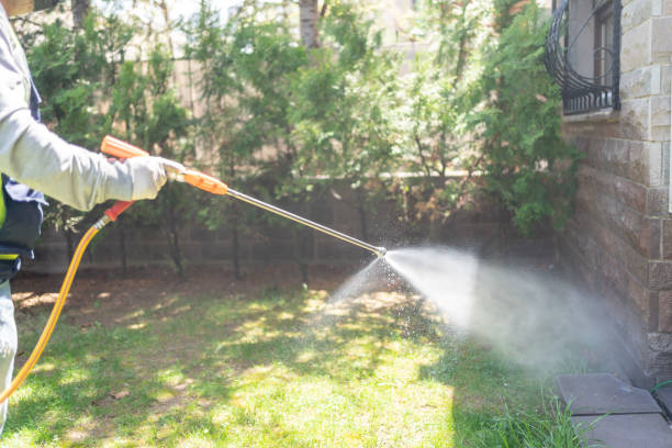 Best Mosquito Control Services  in Avalon, PA