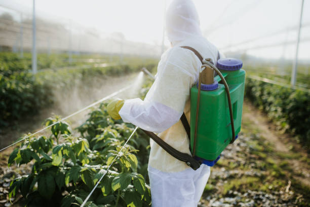 Best Pest Prevention Services  in Avalon, PA